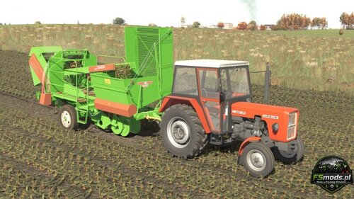Anna Z644