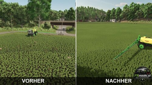 Usuwanie chwastów po herbicydach